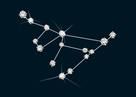 Diamond Constellation Capricorn Pin 