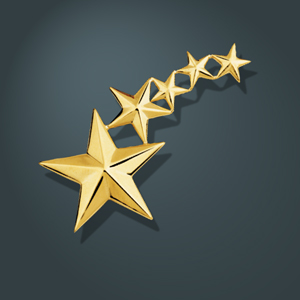 Five Star Pin 