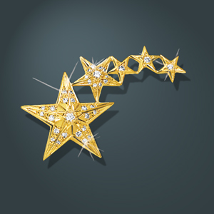 Five Star Diamond Pin 
