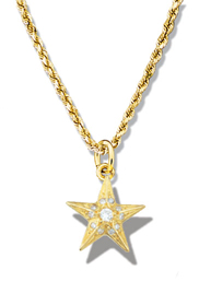 Star Pendant Faceted w/diamonds 