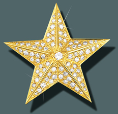 Star Faceted Diamond Pin 