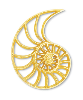 Nautilus Pin 