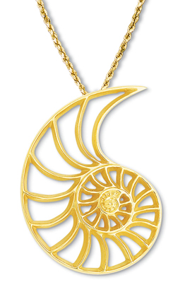 Nautilus Pendant 