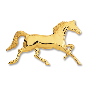 Horse Llanfihangel Pin 