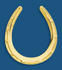 Horseshoe Pin 