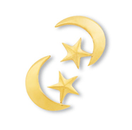 Crescent Moon/Star Earrings 